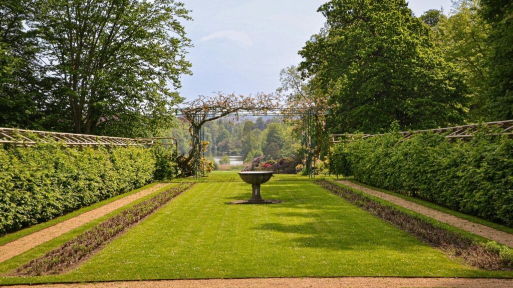 Landscape and Gardening Services​